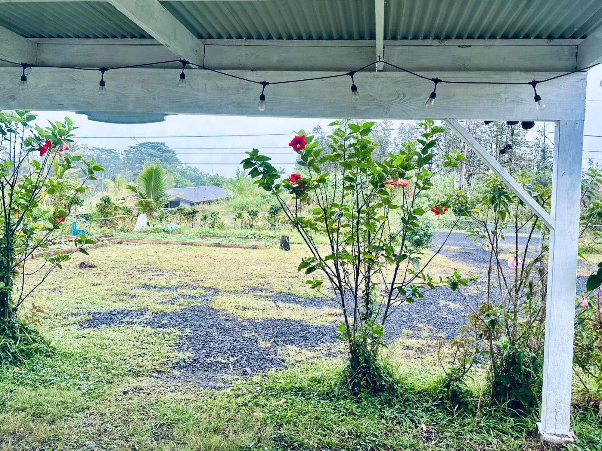 Kope Hale Farm House Near Hilo & Volcano National Park 파호아 외부 사진